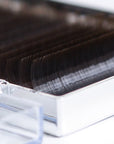 Detailed view of brown eyelash extension strips displaying soft natural color and precise curl pattern