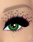 Lash mapping diagram showing application technique and placement pattern for Lashy eyelash extensions