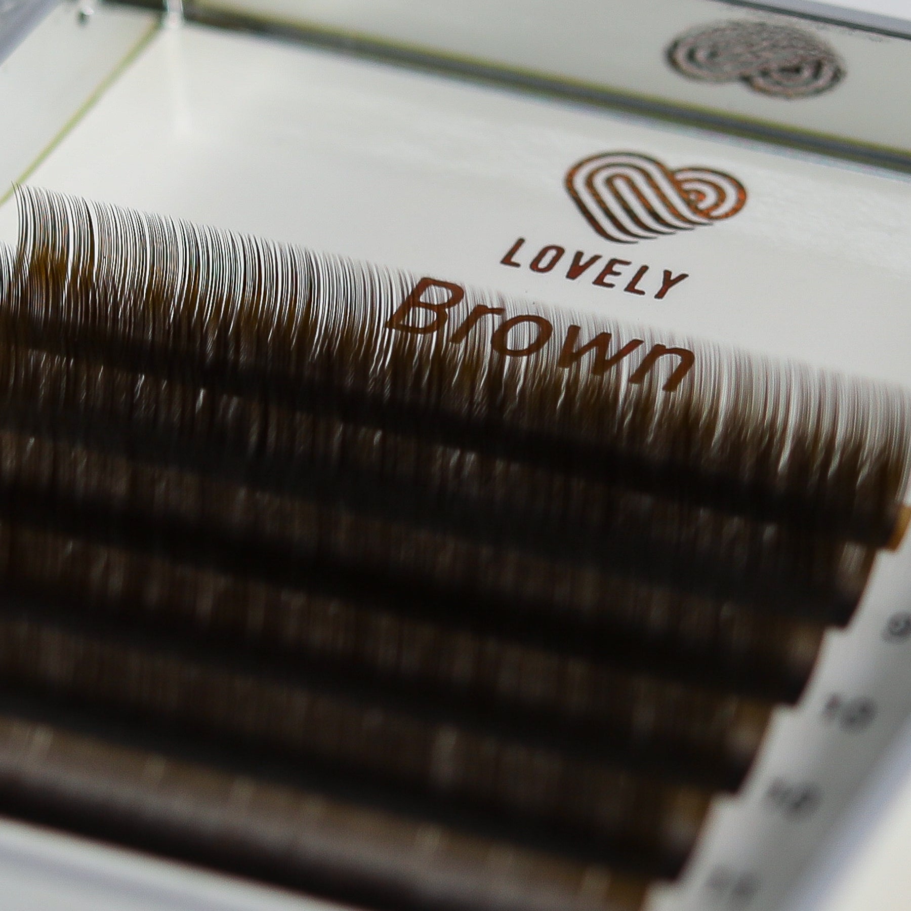 Brown Eyelash Extensions